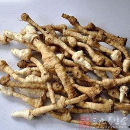 黄精药材图片,滋补养生之宝的神秘面纱