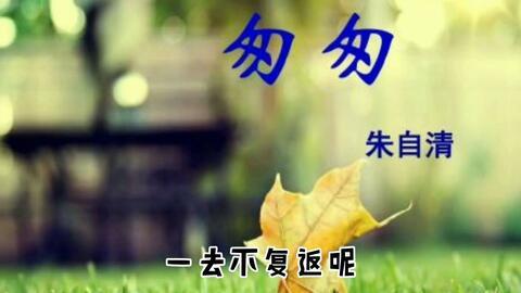 匆匆视频,视频中的瞬间回忆与感悟