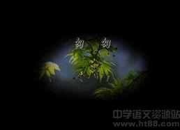 匆匆视频,视频中的瞬间回忆与感悟