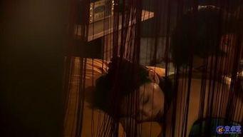 床戏爱的发声练习,探索激情与情感的共鸣之旅