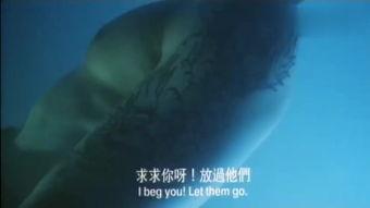 猛鬼屠房中文在线观看,惊悚在线观影，恐怖盛宴即将开启