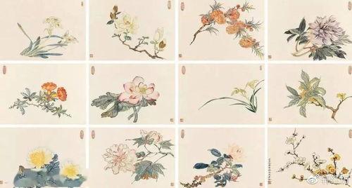 十二花神图片,探寻中国传统花卉文化的神秘魅力