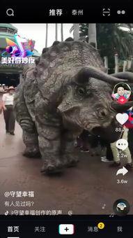 恐龙真实视频,穿越时空的史前巨兽掠影
