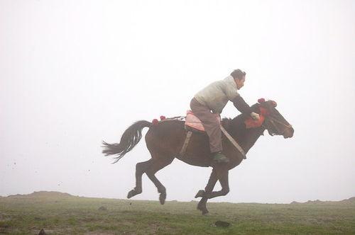 马鞭子图片大全集,探寻古代骑乘文化的魅力与演变