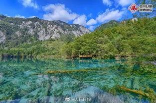 九寨沟视频,自然奇观与人间仙境的完美融合