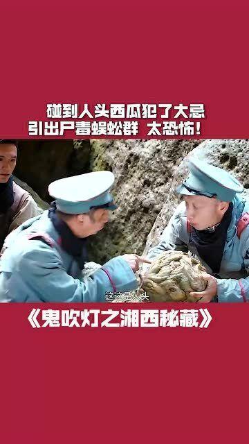 人头蜈蚣在线观看,惊悚悬疑，揭秘神秘生物之谜