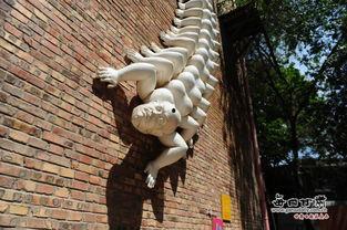 人头蜈蚣在线观看,惊悚悬疑，揭秘神秘生物之谜