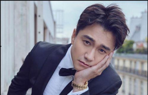 韩国超一线男星,璀璨星途与辉煌成就