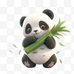 熊猫竹子图片,自然和谐共生的生态画卷
