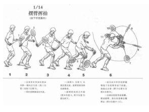 最好的鞭子图片大全