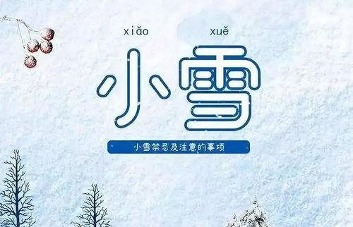 小雪图片大全,银装素裹的冬日美景赏析