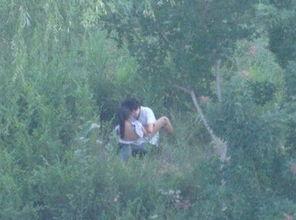 野战爱视频在线观看,激情燃烧的战场情感之旅