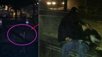 野战爱视频在线观看,激情燃烧的战场情感之旅