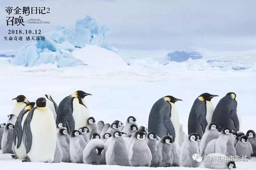 帝企鹅日记 国语,南极奇遇记