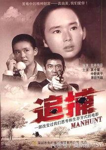 日本 追捕,正义与命运的较量