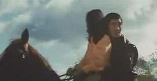 日本 追捕,正义与命运的较量