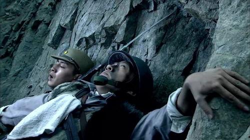 日本 追捕,正义与命运的较量