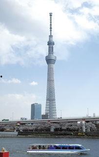 日本 电视塔,现代建筑与科技融合的璀璨地标