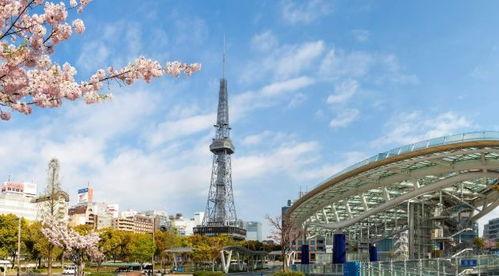 日本 电视塔,现代建筑与科技融合的璀璨地标
