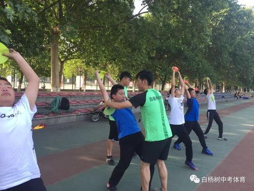 实心球教学视频,轻松掌握运动技巧与健身方法