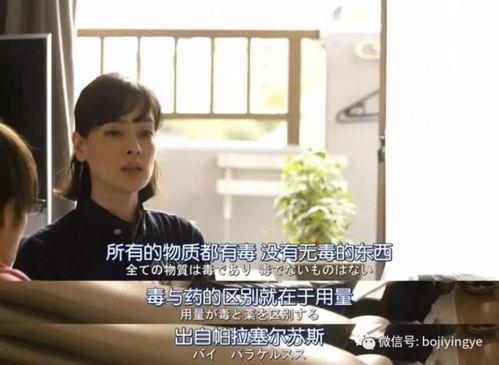 日本校园伦理,传统与现代的交融与挑战