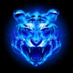 四虎库影日本,揭秘日本影视产业的魅力与挑战