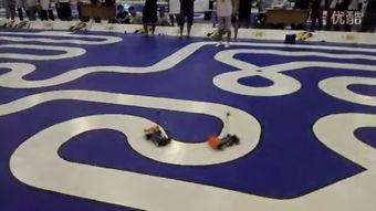 色播图片,色播图片背后的故事