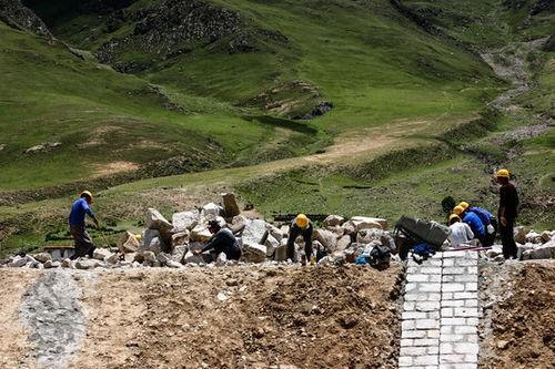 土蚂蚱图片,田间地头的绿色精灵