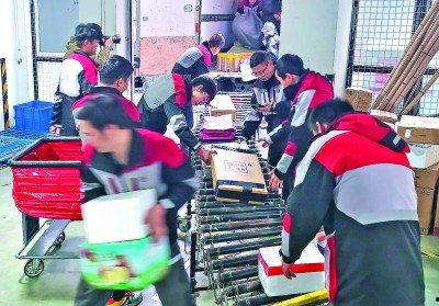 快递员工作视频,穿梭城市间的快递英雄