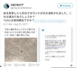 日本的人气推特账号,人气账号背后的故事