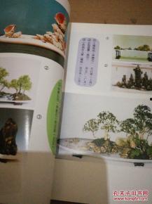 家庭山水盆景图片大全,自然之美，静享家居雅韵