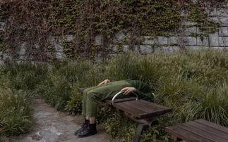 真实苦力怕图片大全,揭秘这款热门游戏中的神秘生物