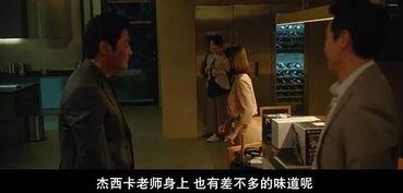 中国人影院韩国电影,异域风情与东方魅力的交融