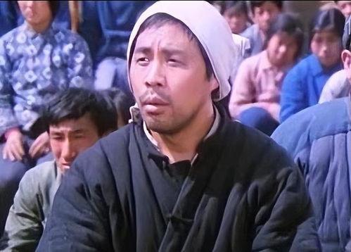 农村喜剧电影大全国语,笑谈乡间趣事，共度欢乐时光