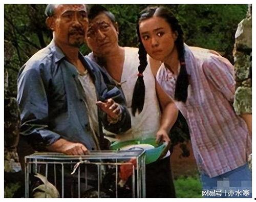 农村喜剧电影大全国语,笑谈乡间趣事，共度欢乐时光