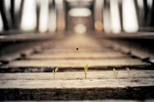 心情低落到极点的图片,低落心情的瞬间写照