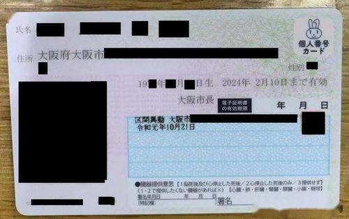 日本番号磁力链接,带你探索神秘动漫世界