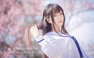 日本番号磁力链接,带你探索神秘动漫世界