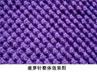 菠萝花图片,自然之美与生命力的赞歌