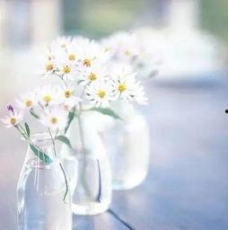 感慨图片大全带字图片,带字图片中的情感共鸣