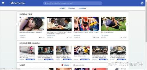 视频分享网站,揭秘热门网站背后的故事