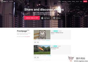 视频分享网站,揭秘热门网站背后的故事