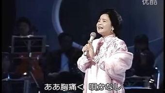 夜来香日本,日本古典文学中的神秘花语与浪漫传说