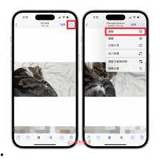 iphone怎么下载视频,iPhone轻松下载视频教程