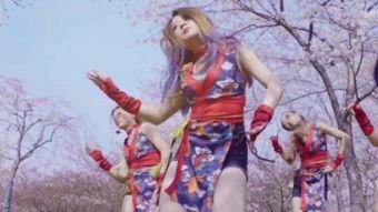 樱花舞视频,一场视觉盛宴的完美呈现