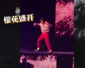 樱花舞视频,一场视觉盛宴的完美呈现