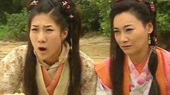 搜神传国语版全集土豆,探寻神秘传说的奇幻之旅