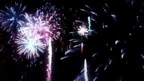 绽放视频,视频中的光影故事