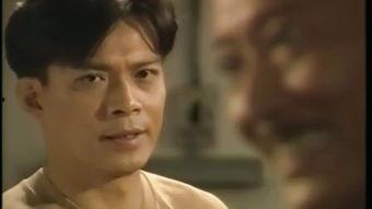 银狐国语版,穿越时空的奇幻之旅