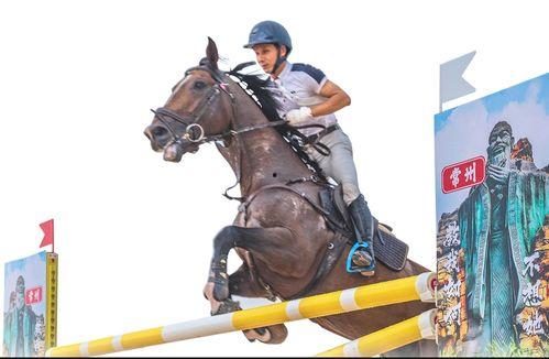 日本人马,马与人的和谐共生